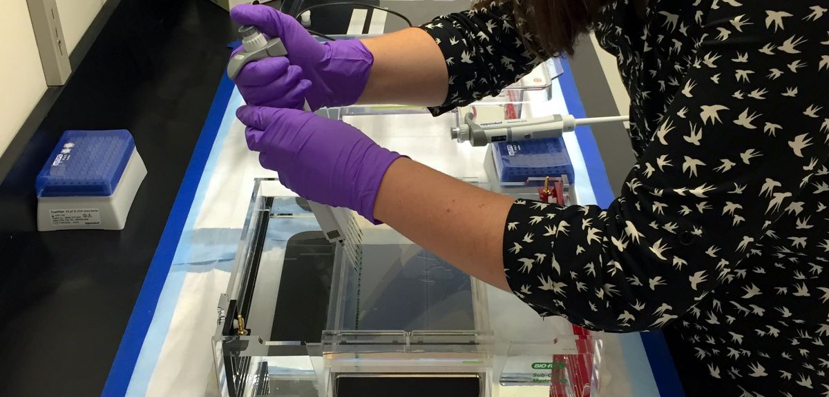 Genomics-hands_Grant-Callegari_resized.jpg