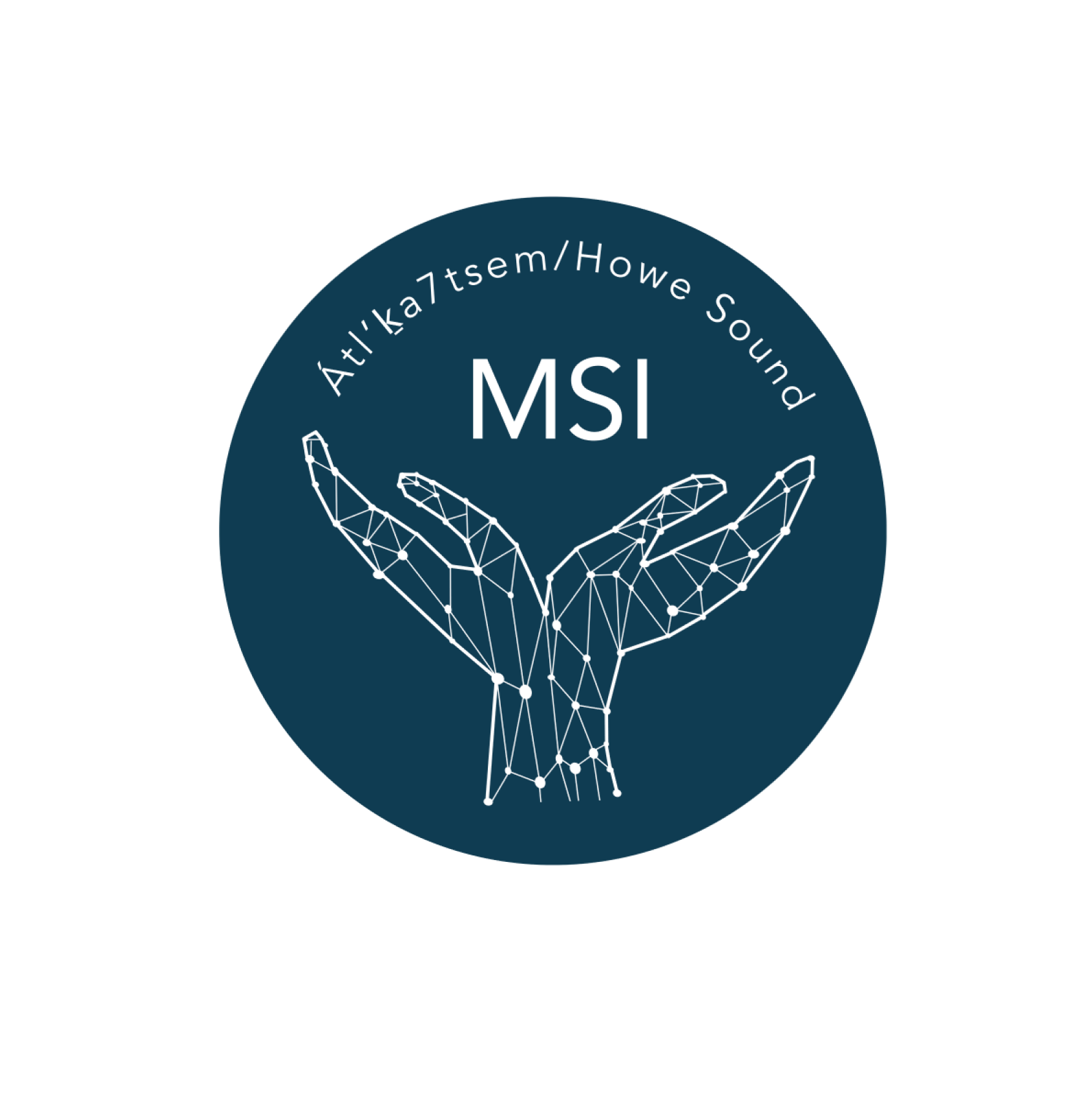 MSI-circle-logo-1648597559.png