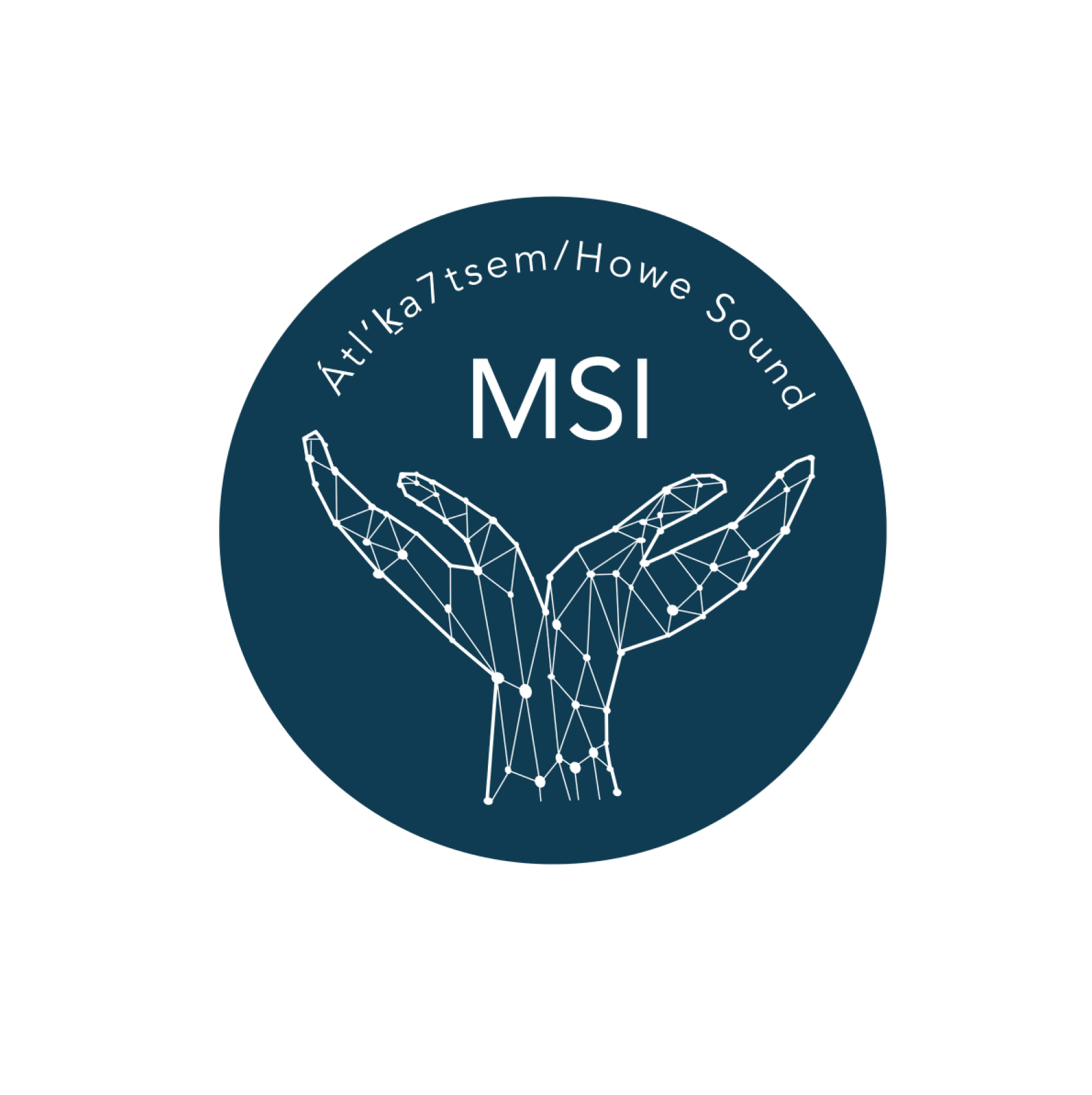 MSI-circle-logo-1648597559.png